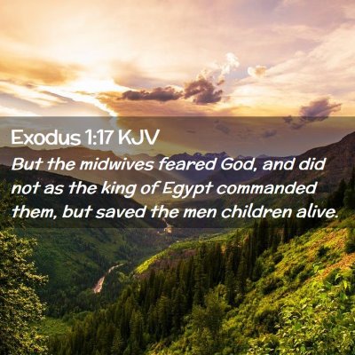 Picture 02 - Exodus 1:17 KJV - But the midwives feared God, and did not as the - Bible Verse Picture