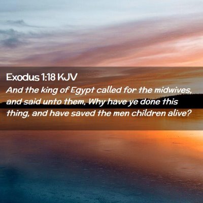 Picture 02 - Exodus 1:18 KJV - And the king of Egypt called for the midwives, - Bible Verse Picture