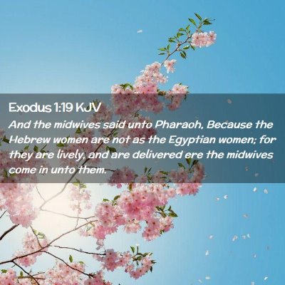 Picture 02 - Exodus 1:19 KJV - And the midwives said unto Pharaoh, Because the - Bible Verse Picture