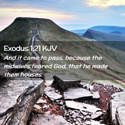 Picture 02 - Exodus 1:21 KJV - And it came to pass, because the midwives feared - Bible Verse Picture