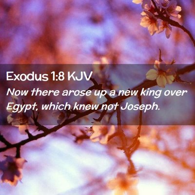 Picture 02 - Exodus 1:8 KJV - Now there arose up a new king over Egypt, which - Bible Verse Picture