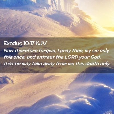 Picture 02 - Exodus 10:17 KJV - Now therefore forgive, I pray thee, my sin only - Bible Verse Picture