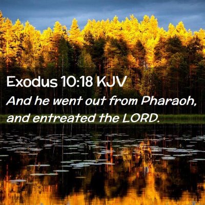 Picture 02 - Exodus 10:18 KJV - And he went out from Pharaoh, and entreated the - Bible Verse Picture