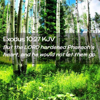 Picture 02 - Exodus 10:27 KJV - But the LORD hardened Pharaoh's heart, and he - Bible Verse Picture