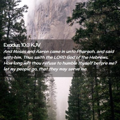 Picture 02 - Exodus 10:3 KJV - And Moses and Aaron came in unto Pharaoh, and - Bible Verse Picture