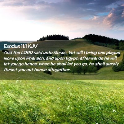 Picture 02 - Exodus 11:1 KJV - And the LORD said unto Moses, Yet will I bring - Bible Verse Picture