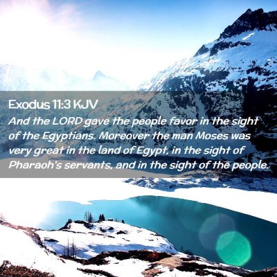 Picture 02 - Exodus 11:3 KJV - And the LORD gave the people favor in the sight - Bible Verse Picture