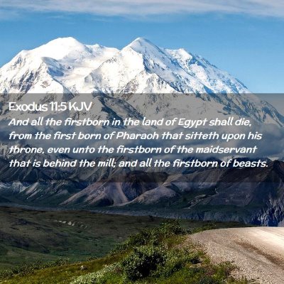 Picture 02 - Exodus 11:5 KJV - And all the firstborn in the land of Egypt shall - Bible Verse Picture