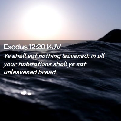 Picture 02 - Exodus 12:20 KJV - Ye shall eat nothing leavened; in all your - Bible Verse Picture