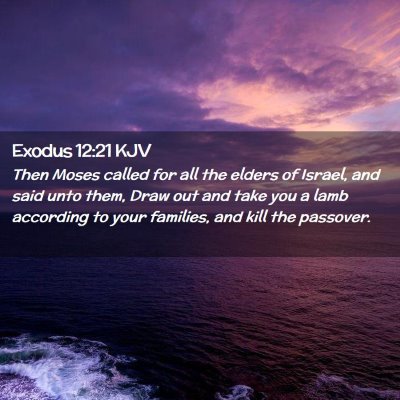 Picture 02 - Exodus 12:21 KJV - Then Moses called for all the elders of Israel, - Bible Verse Picture
