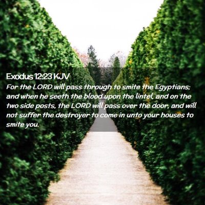 Picture 02 - Exodus 12:23 KJV - For the LORD will pass through to smite the - Bible Verse Picture