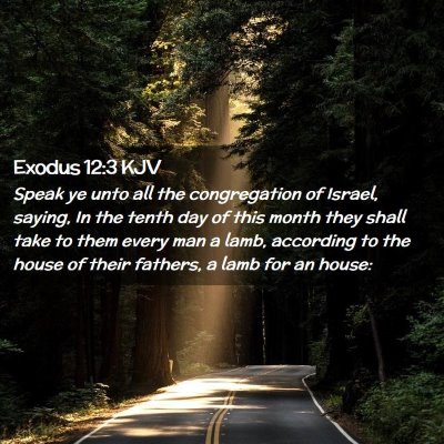 Picture 02 - Exodus 12:3 KJV - Speak ye unto all the congregation of Israel, - Bible Verse Picture