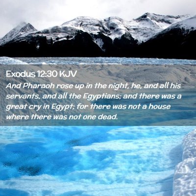Picture 02 - Exodus 12:30 KJV - And Pharaoh rose up in the night, he, and all his - Bible Verse Picture