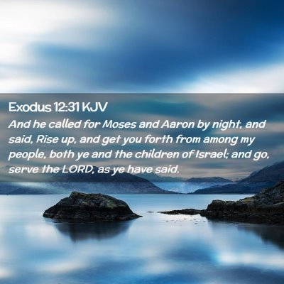 Picture 02 - Exodus 12:31 KJV - And he called for Moses and Aaron by night, and - Bible Verse Picture
