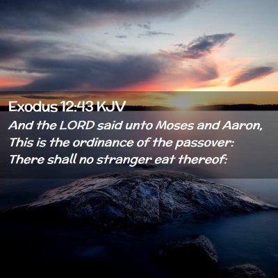 Picture 02 - Exodus 12:43 KJV - And the LORD said unto Moses and Aaron, This is - Bible Verse Picture