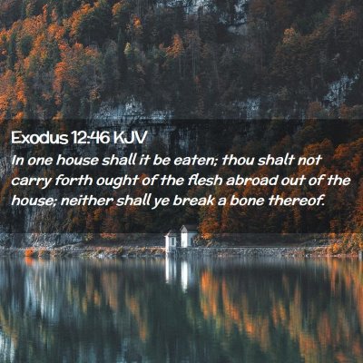 Picture 02 - Exodus 12:46 KJV - In one house shall it be eaten; thou shalt not - Bible Verse Picture