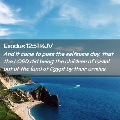 Picture 02 - Exodus 12:51 KJV - And it came to pass the selfsame day, that the - Bible Verse Picture