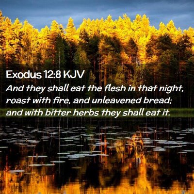 Picture 02 - Exodus 12:8 KJV - And they shall eat the flesh in that night, roast - Bible Verse Picture