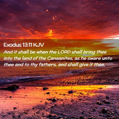 Picture 02 - Exodus 13:11 KJV - And it shall be when the LORD shall bring thee - Bible Verse Picture