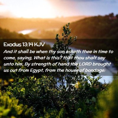 Picture 02 - Exodus 13:14 KJV - And it shall be when thy son asketh thee in time - Bible Verse Picture