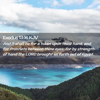 Picture 02 - Exodus 13:16 KJV - And it shall be for a token upon thine hand, and - Bible Verse Picture