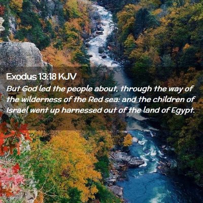 Picture 02 - Exodus 13:18 KJV - But God led the people about, through the way of - Bible Verse Picture