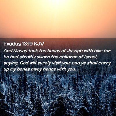 Picture 02 - Exodus 13:19 KJV - And Moses took the bones of Joseph with him: for - Bible Verse Picture