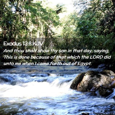 Picture 02 - Exodus 13:8 KJV - And thou shalt show thy son in that day, saying, - Bible Verse Picture