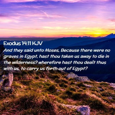 Picture 02 - Exodus 14:11 KJV - And they said unto Moses, Because there were no - Bible Verse Picture