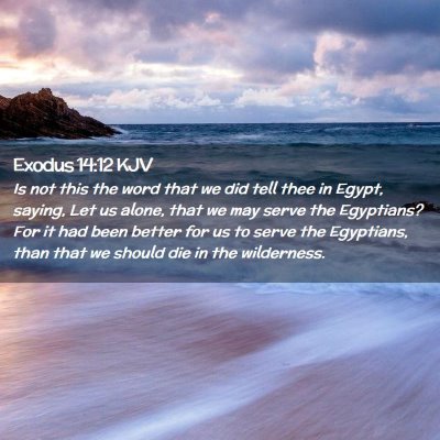 Picture 02 - Exodus 14:12 KJV - Is not this the word that we did tell thee in - Bible Verse Picture