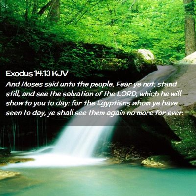 Picture 02 - Exodus 14:13 KJV - And Moses said unto the people, Fear ye not, - Bible Verse Picture