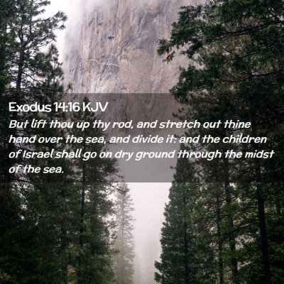 Picture 02 - Exodus 14:16 KJV - But lift thou up thy rod, and stretch out thine - Bible Verse Picture