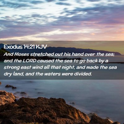 Picture 02 - Exodus 14:21 KJV - And Moses stretched out his hand over the sea; - Bible Verse Picture