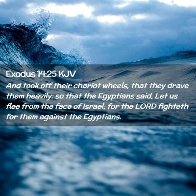 Picture 02 - Exodus 14:25 KJV - And took off their chariot wheels, that they - Bible Verse Picture