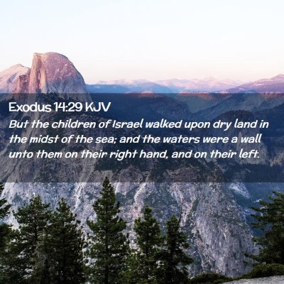 Picture 02 - Exodus 14:29 KJV - But the children of Israel walked upon dry land - Bible Verse Picture