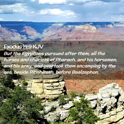 Picture 02 - Exodus 14:9 KJV - But the Egyptians pursued after them, all the - Bible Verse Picture