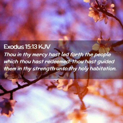 Picture 02 - Exodus 15:13 KJV - Thou in thy mercy hast led forth the people which - Bible Verse Picture