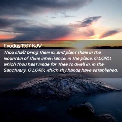 Picture 02 - Exodus 15:17 KJV - Thou shalt bring them in, and plant them in the - Bible Verse Picture