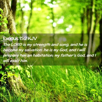 Picture 02 - Exodus 15:2 KJV - The LORD is my strength and song, and he is - Bible Verse Picture