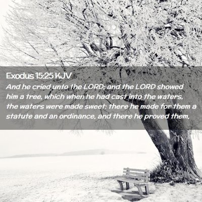 Picture 02 - Exodus 15:25 KJV - And he cried unto the LORD; and the LORD showed - Bible Verse Picture