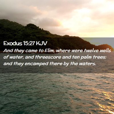 Picture 02 - Exodus 15:27 KJV - And they came to Elim, where were twelve wells of - Bible Verse Picture