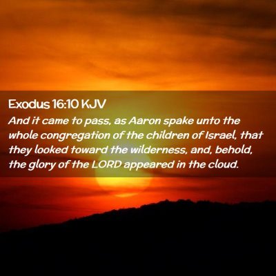 Picture 02 - Exodus 16:10 KJV - And it came to pass, as Aaron spake unto the - Bible Verse Picture