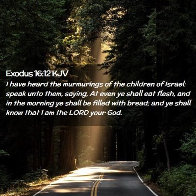Picture 02 - Exodus 16:12 KJV - I have heard the murmurings of the children of - Bible Verse Picture
