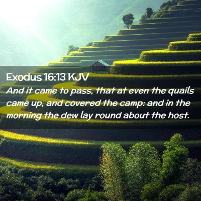 Picture 02 - Exodus 16:13 KJV - And it came to pass, that at even the quails came - Bible Verse Picture