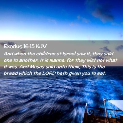 Picture 02 - Exodus 16:15 KJV - And when the children of Israel saw it, they said - Bible Verse Picture