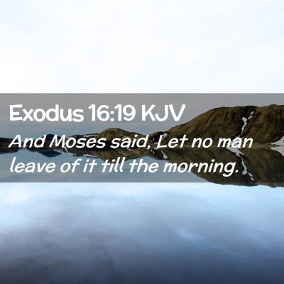 Picture 02 - Exodus 16:19 KJV - And Moses said, Let no man leave of it till the - Bible Verse Picture