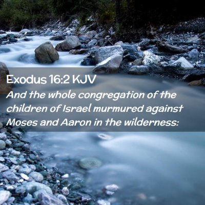 Picture 02 - Exodus 16:2 KJV - And the whole congregation of the children of - Bible Verse Picture