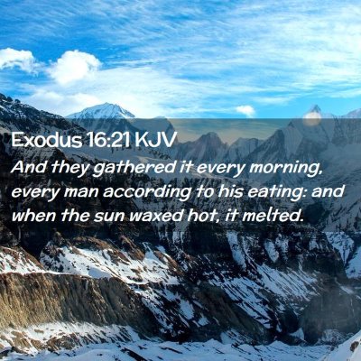 Picture 02 - Exodus 16:21 KJV - And they gathered it every morning, every man - Bible Verse Picture