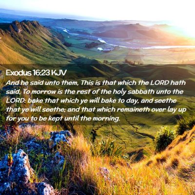 Picture 02 - Exodus 16:23 KJV - And he said unto them, This is that which the - Bible Verse Picture