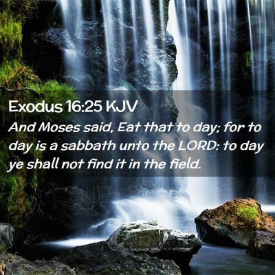Picture 02 - Exodus 16:25 KJV - And Moses said, Eat that to day; for to day is a - Bible Verse Picture